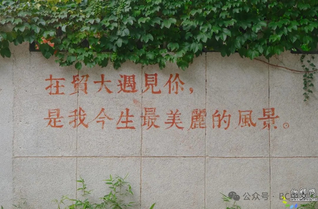 697c2ee963b9a.jpg 640 (4).jpg